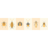 Stamp Bugs