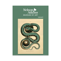The Canina or Green Boa Acrylic Magnet