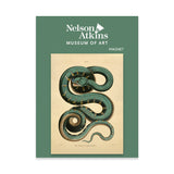 The Canina or Green Boa Acrylic Magnet