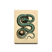 The Canina or Green Boa Acrylic Magnet