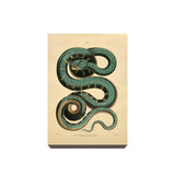 The Canina or Green Boa Acrylic Magnet