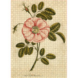 John Derian Paper Goods: Garden Rose 1,000-Piece Puzzle