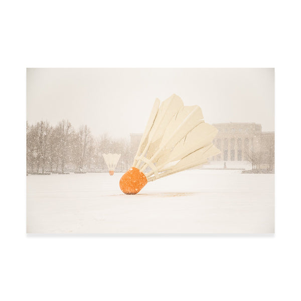 Shuttlecock in Snow Notecard