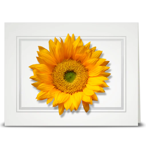 Sunflower, Bright - folded card