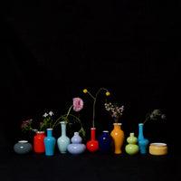 Coral Red Beauty Mini Vase