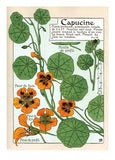Art Nouveau in Bloom - Everyday Boxed Greeting Cards