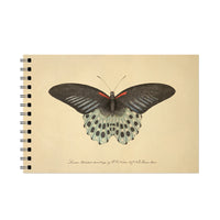 The Polymnestor Butterfly Spiral Bound Notebook