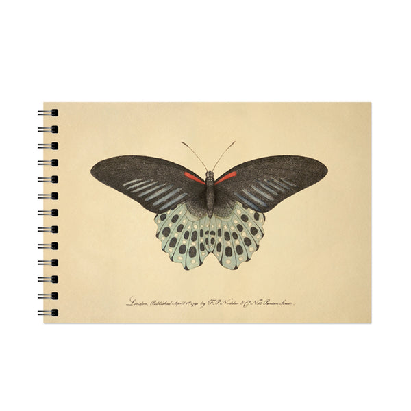 The Polymnestor Butterfly Spiral Bound Notebook