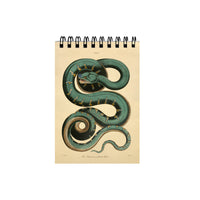 The Canina or Green Boa Mini Spiral Notebook