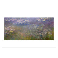 Water Lilies Postcard 4"x6"